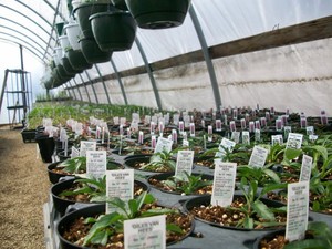 Northwest PA Growers Cooperative