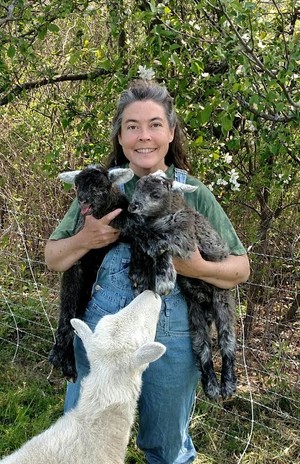 Helder ~ Herdwyck Farm