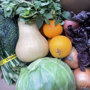 Veggielution