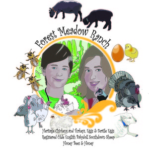 Forest Meadow Ranch