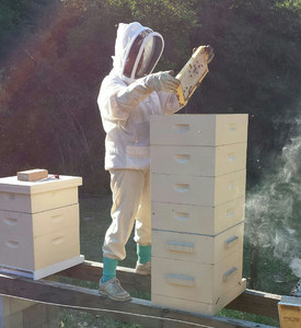 From Bee to You Apiary