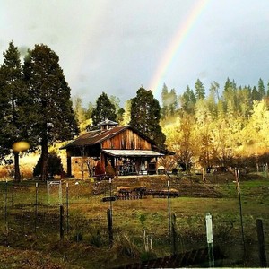 24 Carrot Farm