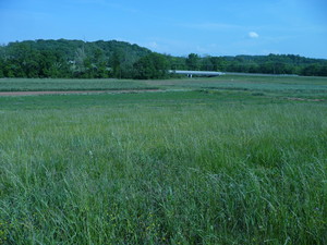 Care of the Earth Community Farm