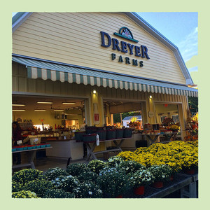 Dreyer Farms