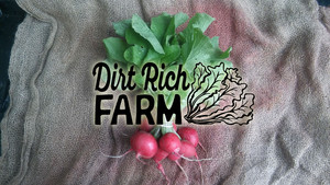 Dirt Rich Farm