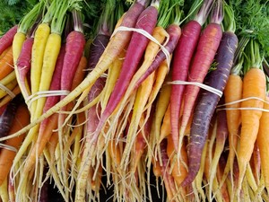 Ahavah Farm