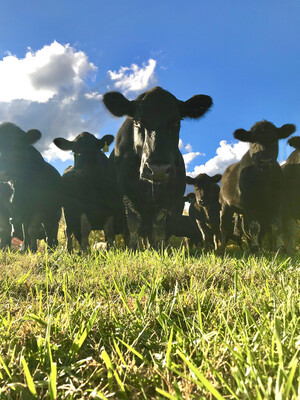 SideLine Farms