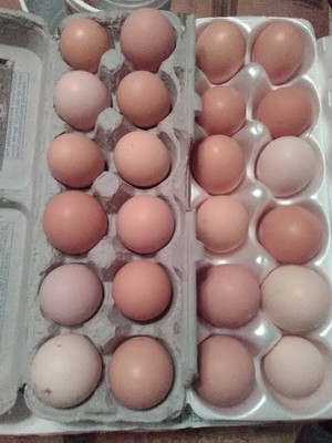 Mama K's fresh eggs