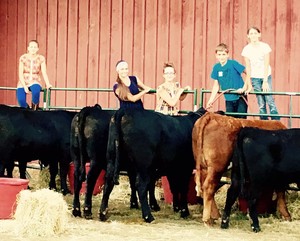 Black River Cattle Company