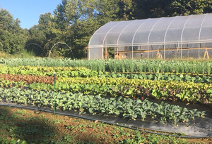 Magney Legacy Ridge Farm