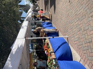 Wednesday Green Market