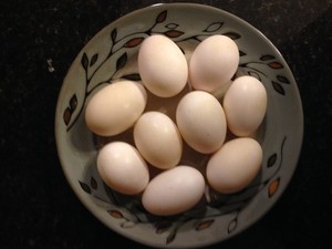 Doug's Ducks