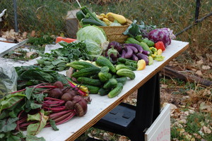 Two Hands Farm