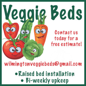 Veggie Beds Wilmington