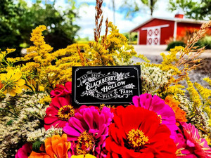 Blackberry Hollow Farm