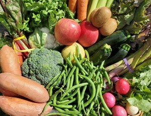 Boistfort Valley Farm, Inc.