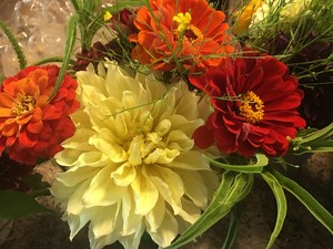 Two Sisters Gardens