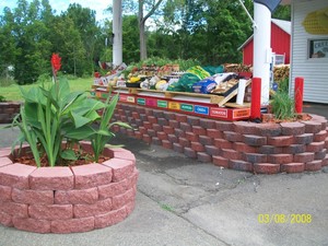 Choose Your Own Basket! CSA