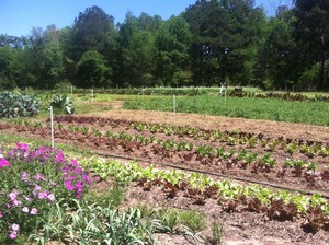 Owen River Farm LLC