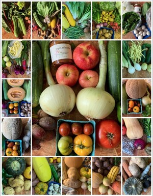Excelsior CSA