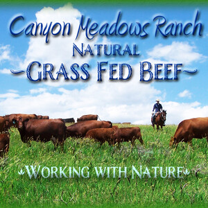 Canyon Meadows Ranch