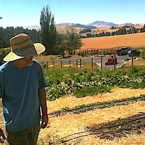 Muddy Springs Farm