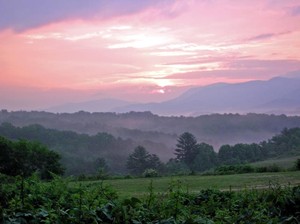 Mountain View Farms