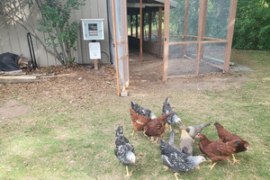 Good Life Farm