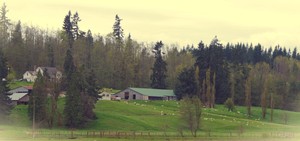Mt. Capra