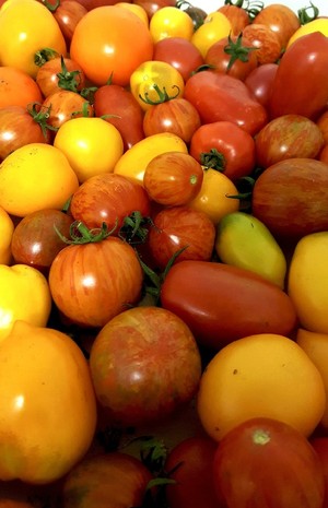 Fresh Green Organic Garden