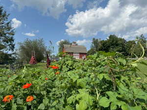 Ambler Farm