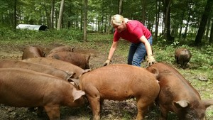 Forest Ridge Farms