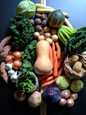 Healthy Harvest Farm