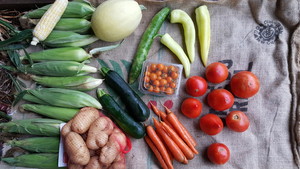 Loup Farms