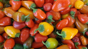 Wimberley Farmers Market