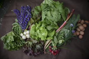 Trusted Roots Farm