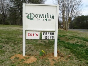 Downing Farms, LLC