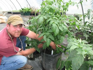 City Point Produce