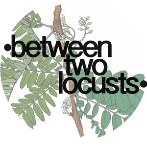 Between Two Locusts