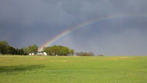Windswept Grass Farms LLC