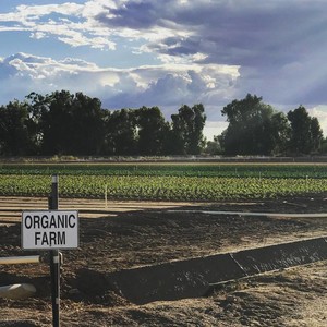 Blue Sky Organic Farms